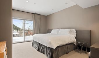 730 S Galena St, Aspen, CO 81611
