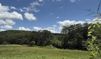 0 Newman Ln, Blaine, TN 37709