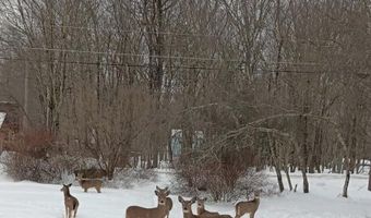 Old Stage Road & Milton Way, Albrightsville, PA 18210