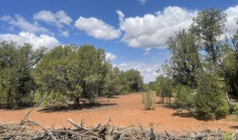 4934 Elk Trail Rd, Clay Springs, AZ 85923