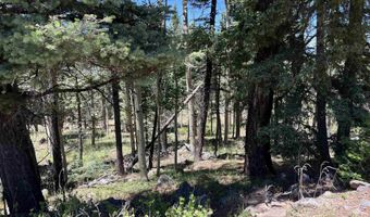 Rainbow Overlook Lot 1229RE Amended A, Angel Fire, NM 87710