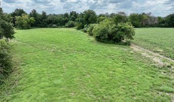 290 CR, Asbury, MO 64832