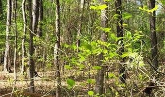 1642 R2 Kersey Valley Rd, Archdale, NC 27265
