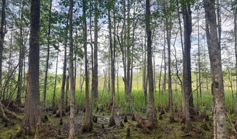 Goldenrod Drive, Barnwell, SC 29812