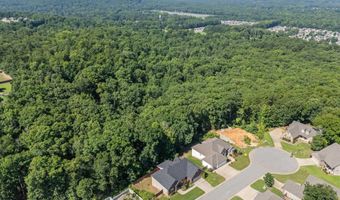 1085 Mountain Side Cv, Alexander, AR 72002