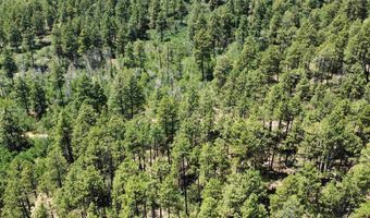 190 Jackalope Dr, Bayfield, CO 81122
