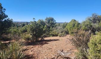 Tbd State Route 260, Clay Springs, AZ 85923