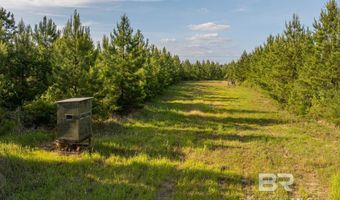 Flowers Road, Bay Minette, AL 36507