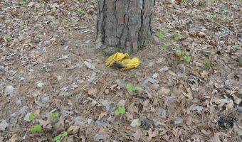 Long Branch Lane, Bee Branch, AR 72013