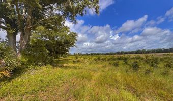 7009 129 Hwy, Bell, FL 32619