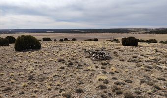 15 County Rd N8641, Concho, AZ 85924