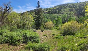 Braffits Creek Lot 61 & 62, Brian Head, UT 84719
