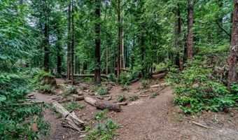 E 16th Street, Arcata, CA 95521