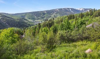 312 Holden Rd, Beaver Creek, CO 81620