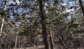 2254 E M30, Alger, MI 48610