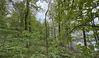 Tract 1 East Bay Road, Atkins, AR 72823