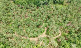 Fox Paw Court, Branchville, SC 29432