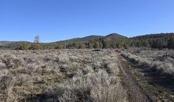 River Bank Drive, Beatty, OR 97621