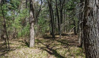 S Badger Lane lot 38, Arkdale, WI 54613