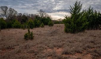 Tract 4 Acme RD, Asher, OK 74826