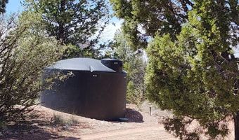 Ranch And Cattle lot 13, Ash Fork, AZ 86320
