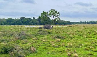 FM 2917, Alvin, TX 77511