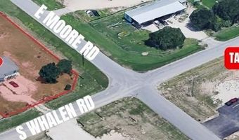 1101 S Whalen Rd, Alamo, TX 78516