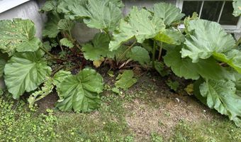 119 Park St, Berlin, NH 03570