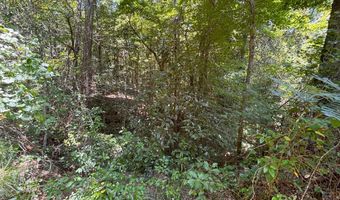 0 CR-215, Ariton, AL 36311