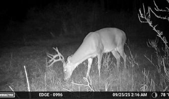 Hwy 9, Bruce, MS 38915