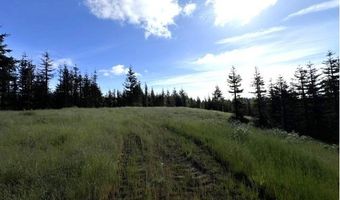NW LODGE Rd, Banks, OR 97106