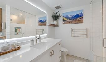 910 W Hallam St 9, Aspen, CO 81611