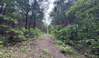 3968 HWY 167, Ash Flat, AR 72513