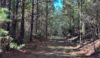 Smith County Road 18-5a, Bay Springs, MS 39422