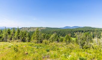 1140 Salee Creek Rd, Bayview, ID 83803