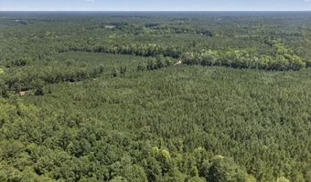 82 Acres Point Caswell Rd, Atkinson, NC 28421