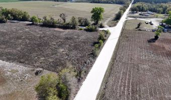 NW 50th STREET, Bell, FL 32619