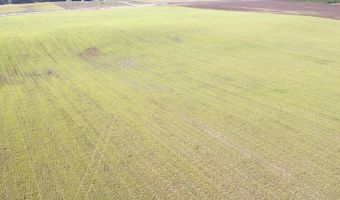 72 Nw Pl, Bell, FL 32619