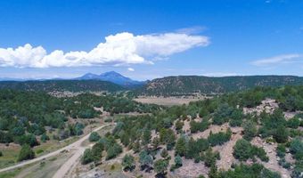 25850 River Pines Rd, Aguilar, CO 81020