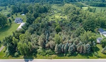 9361 Birch Run Rd, Arbela, MI 48746