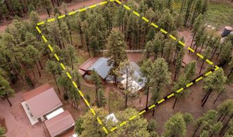 11 Whitetail Rd, Alpine, AZ 85920