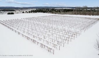 8370 Lakeview Rd, Alanson, MI 49706