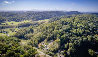 Davis Valley Road lot 8 & 11, Afton, TN 37616