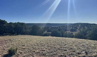006 N8604, Concho, AZ 85924