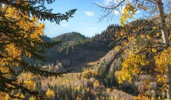 408 E Cooper Ave, Aspen, CO 81611