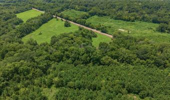 11661 Gamm Rd, Belcher, LA 71004