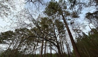 N broad St, Abbeville, GA 31001