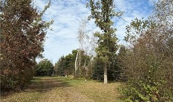 11253 Sunset View Ln, Pine City, MN 55063