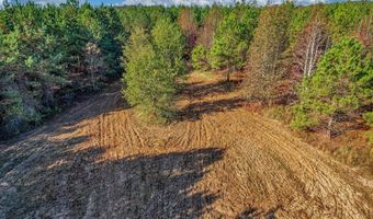 0 County Road 127, Banks, AL 36005