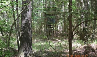 CAMERON ROAD, Bastrop, LA 71220